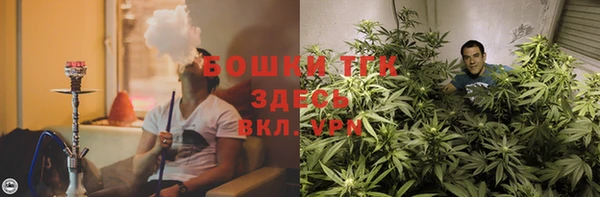 PSILOCYBIN Дмитровск