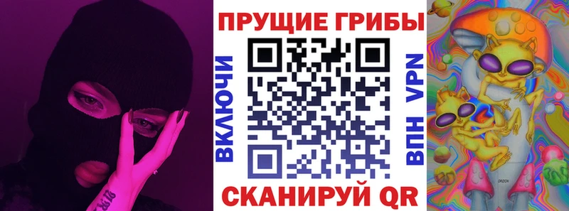где можно купить   Ишим  Галлюциногенные грибы мухоморы 