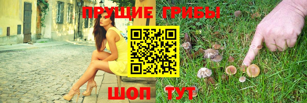 Ишим  Галлюциногенные грибы GOLDEN TEACHER  Вход с VPN  Галлюциногенные грибы мухоморы 