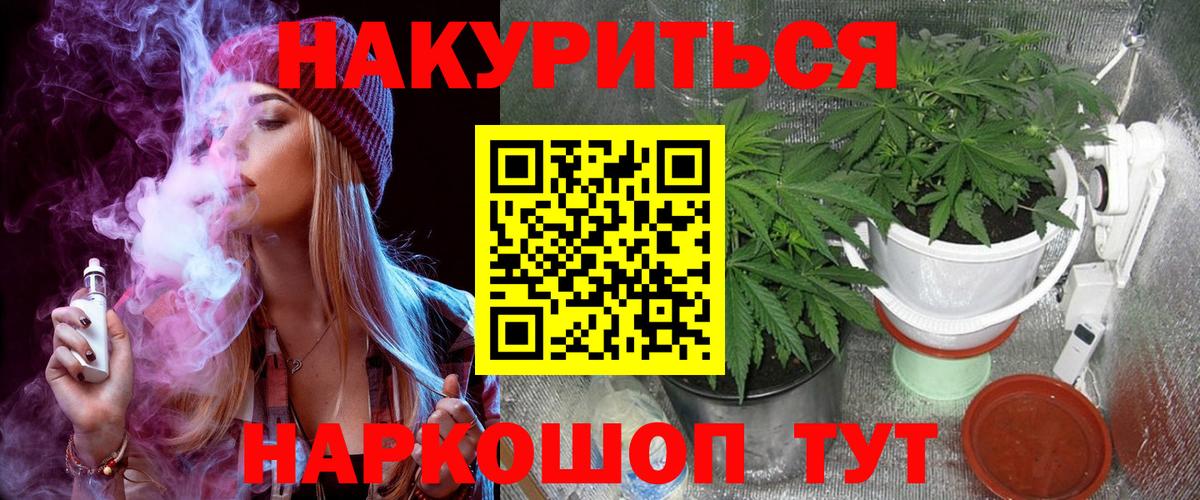 Бошки Шишки план  Бошки Шишки ГИДРОПОН  Вход с VPN  Ишим  Бошки Шишки конопля 